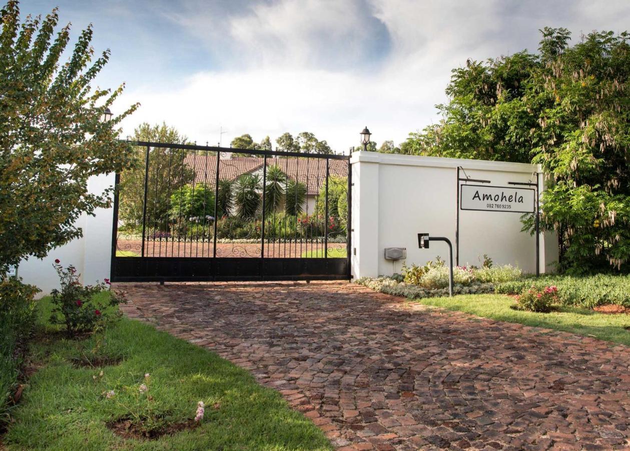 Amohela Guesthouse Midrand Ngoại thất bức ảnh
